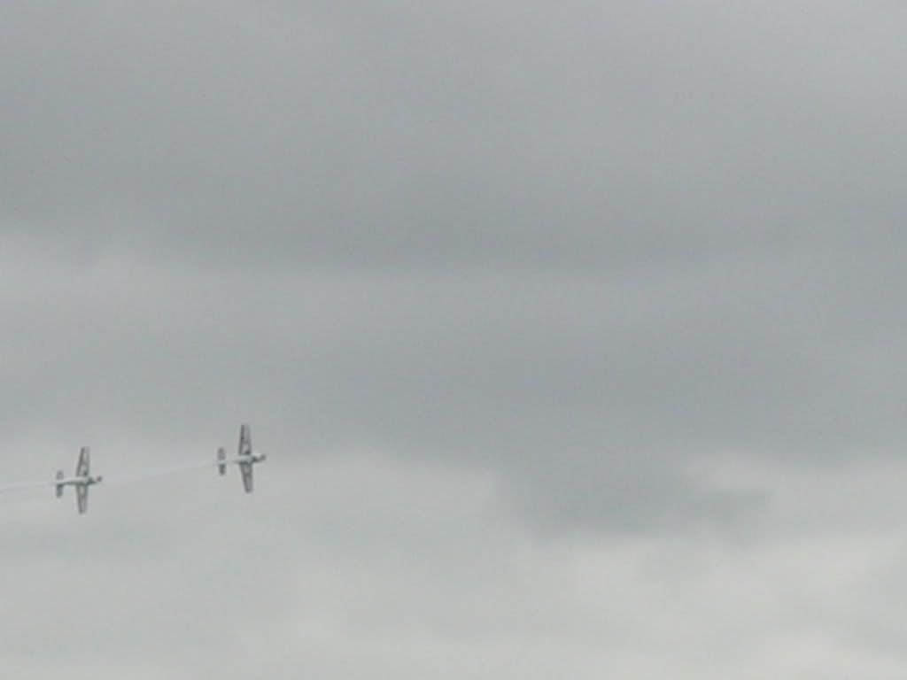 waddington039.jpg