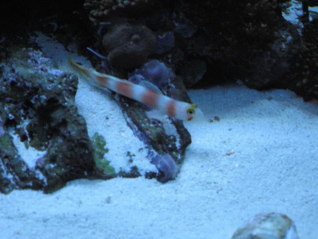 IMG_1871.jpg