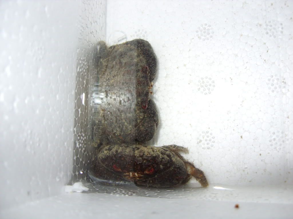 SDC11847.jpg