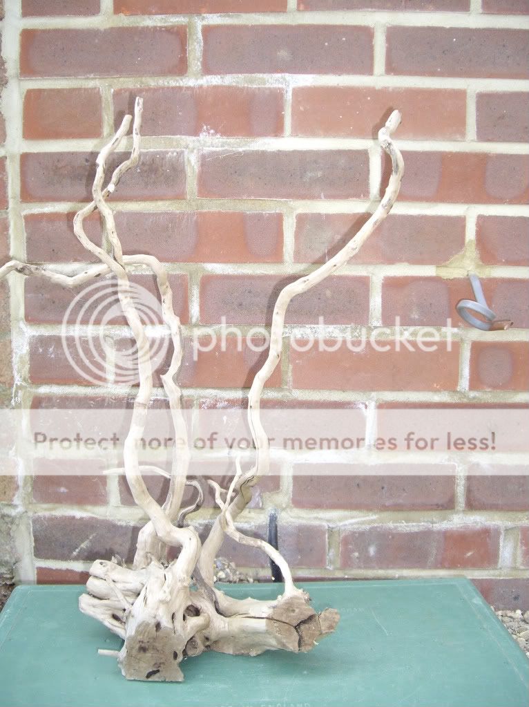IMGP6258.jpg