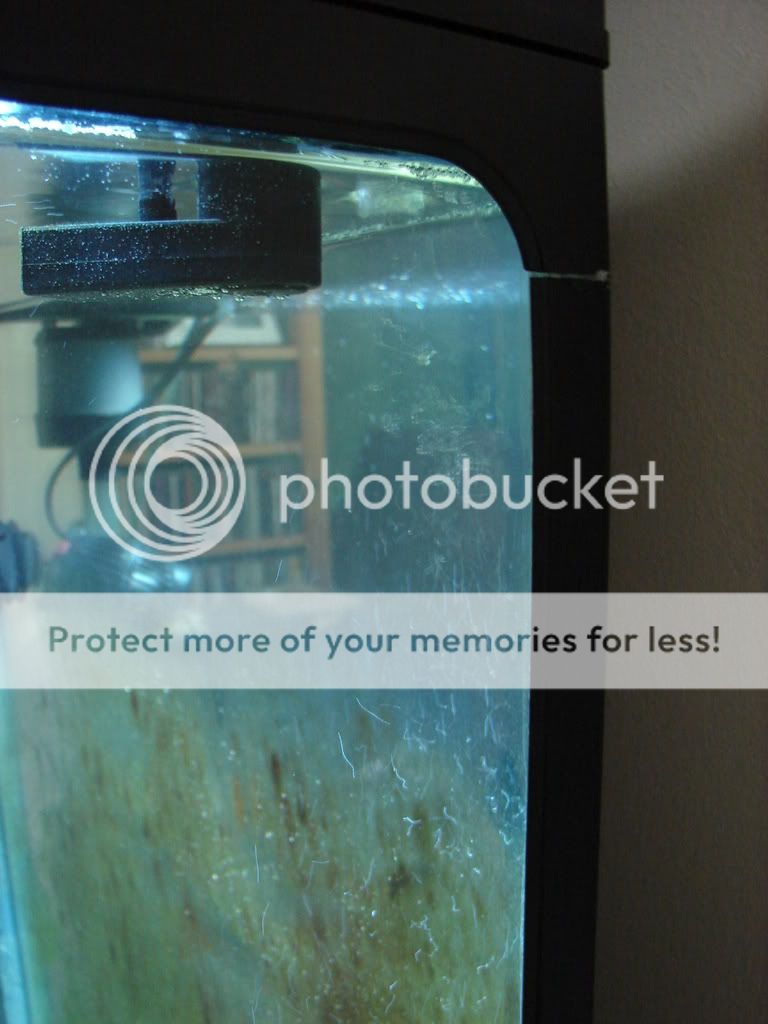 bubbles7.jpg