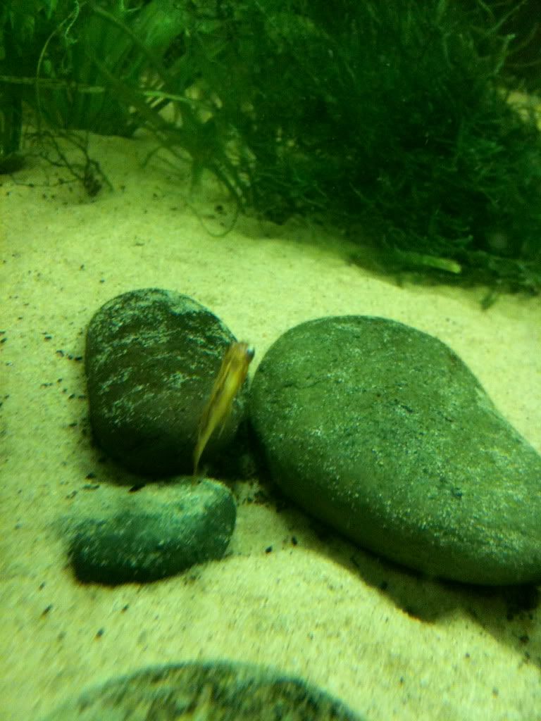 IMG_0349.jpg