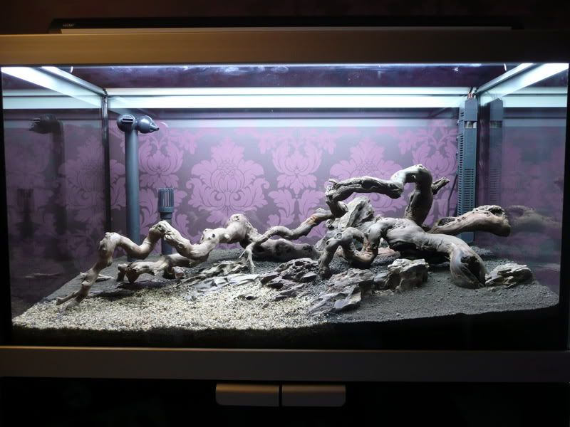 oct2010240.jpg