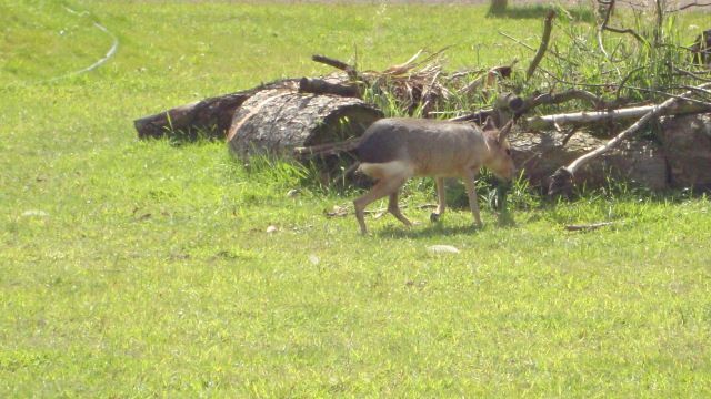 DSC01644.jpg