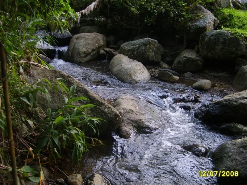S5004886.jpg