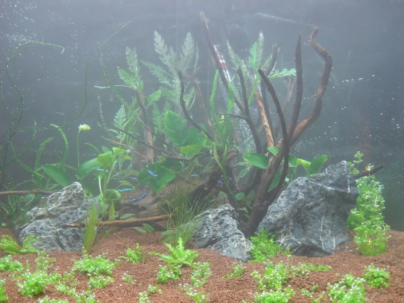 waterin2.jpg