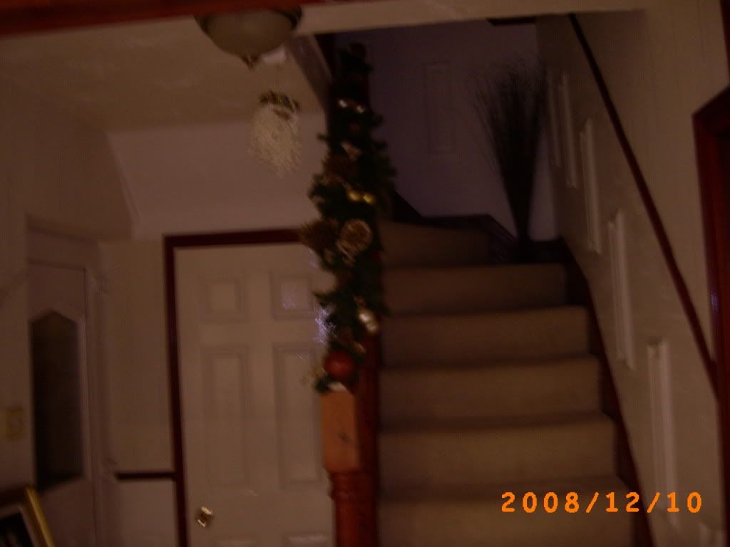 PICT0007-1.jpg