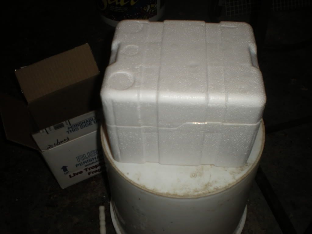 DSCN2255.jpg