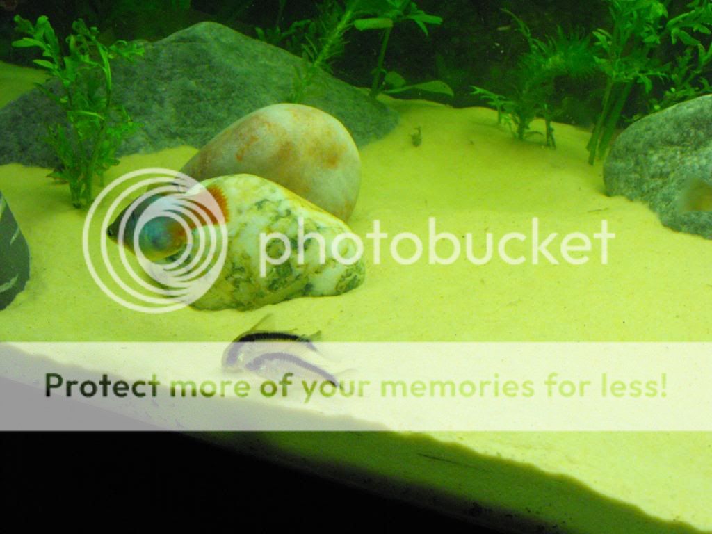 DSCF1219.jpg