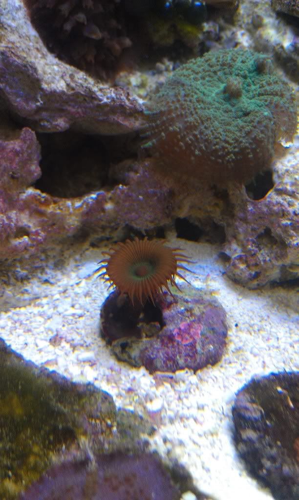 IMAG0611.jpg