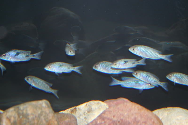 IMG_4873.jpg
