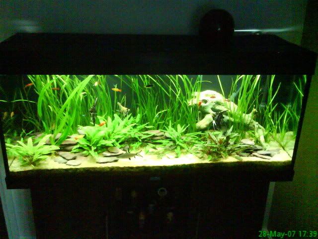 DSC00006.jpg