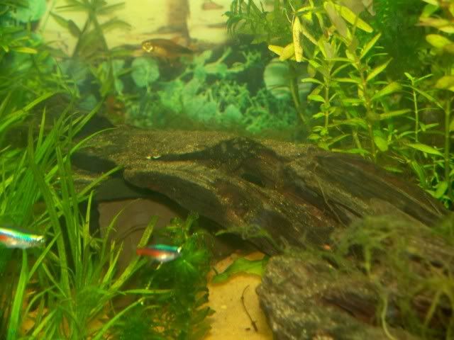 000_0286.jpg