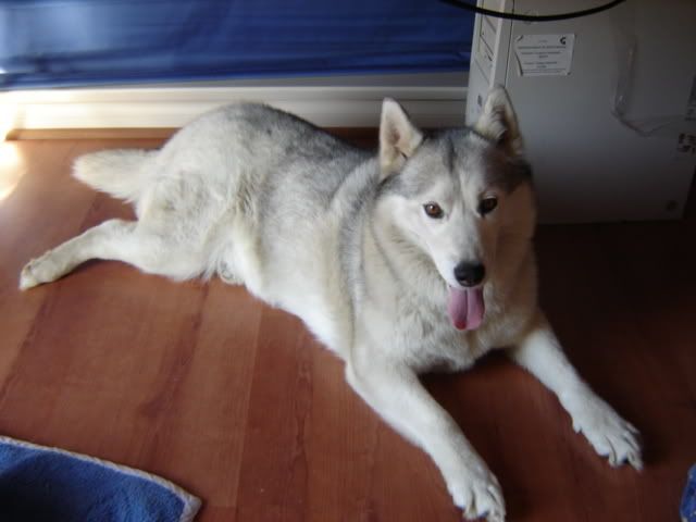 DSC05412.jpg