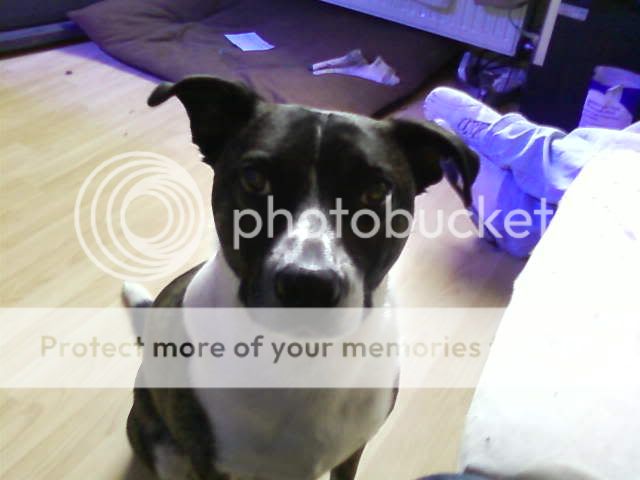 Photo-0001.jpg