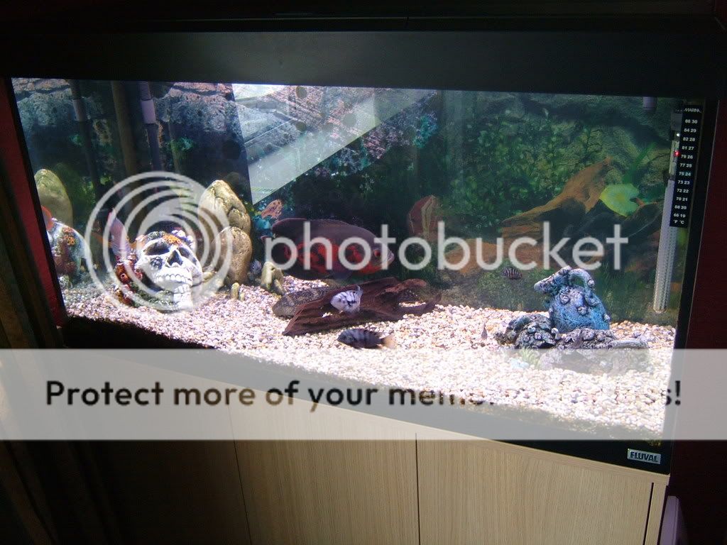 DSCF3801.jpg