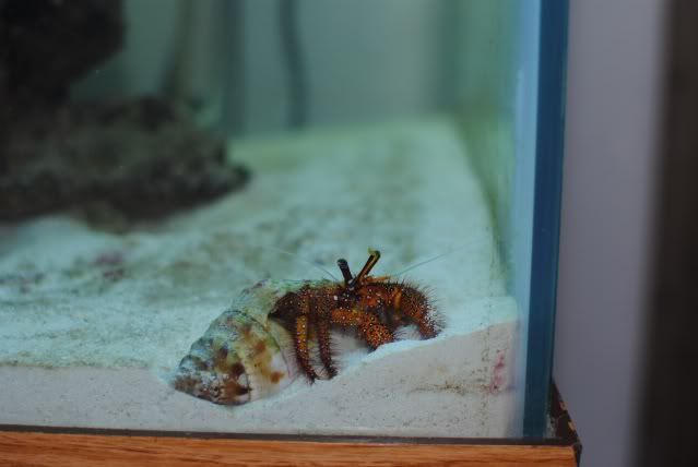 DSC_0465.jpg
