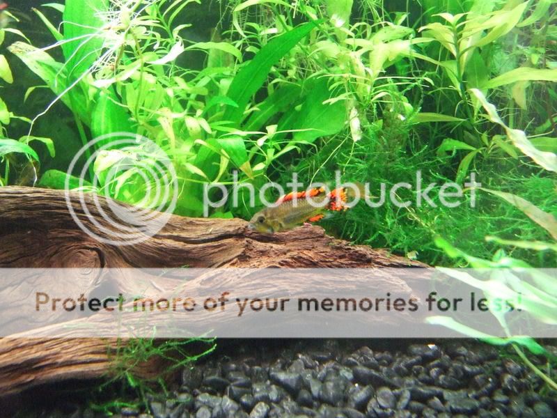 DSCF2928.jpg
