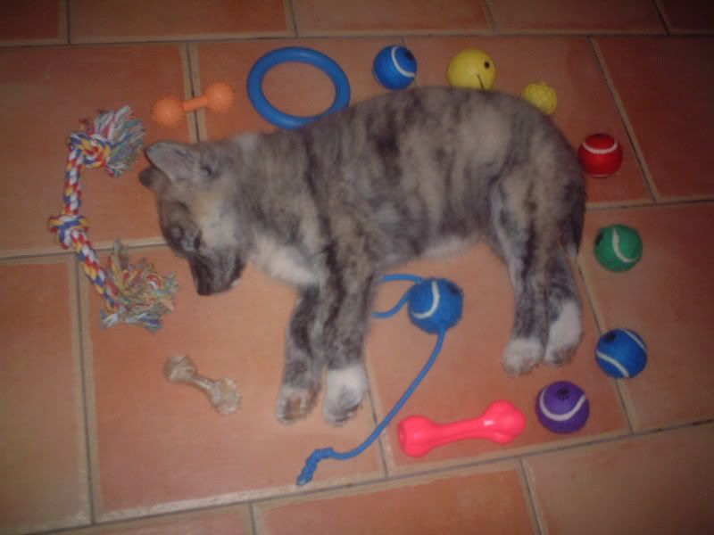 crashedoutbabyazumi.jpg