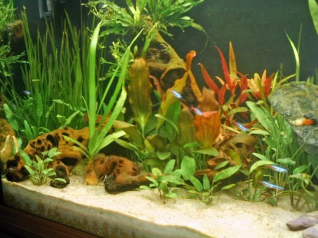 imag0002-4.jpg
