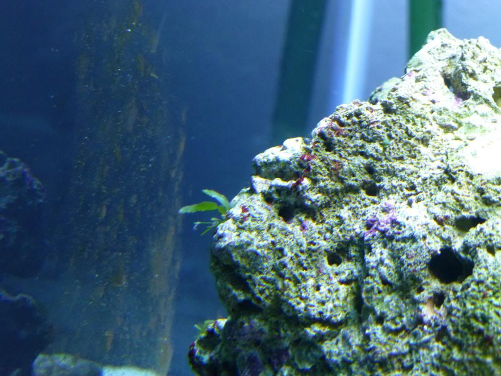 P1000171.jpg