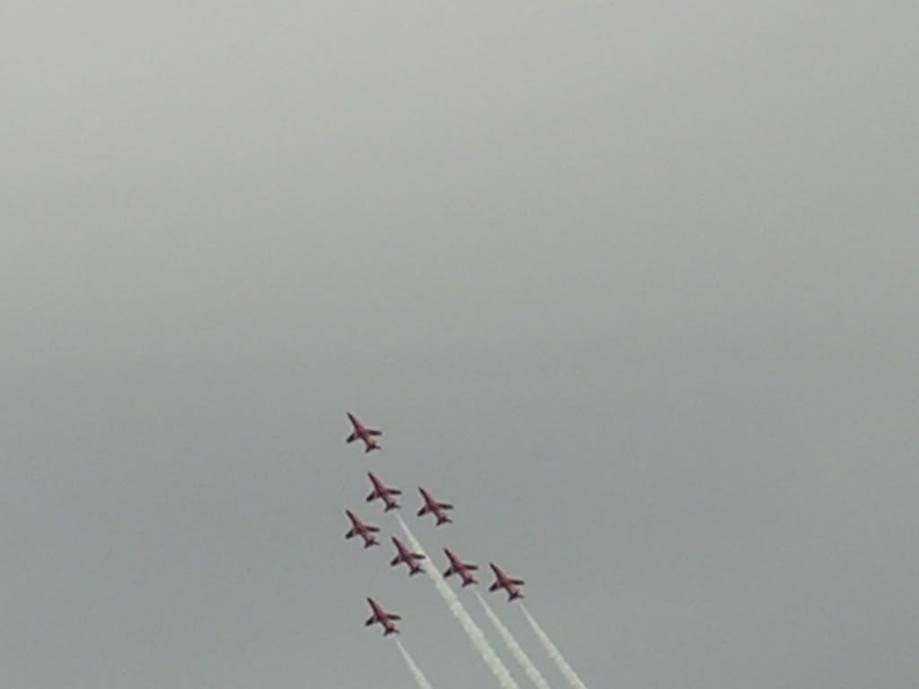 waddington118.jpg