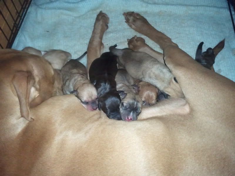 2012-07-14113946.jpg