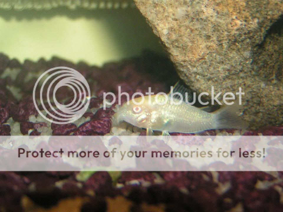 PICT0021.jpg