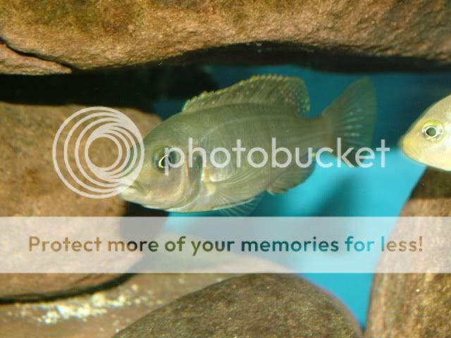 DSCF3592.jpg