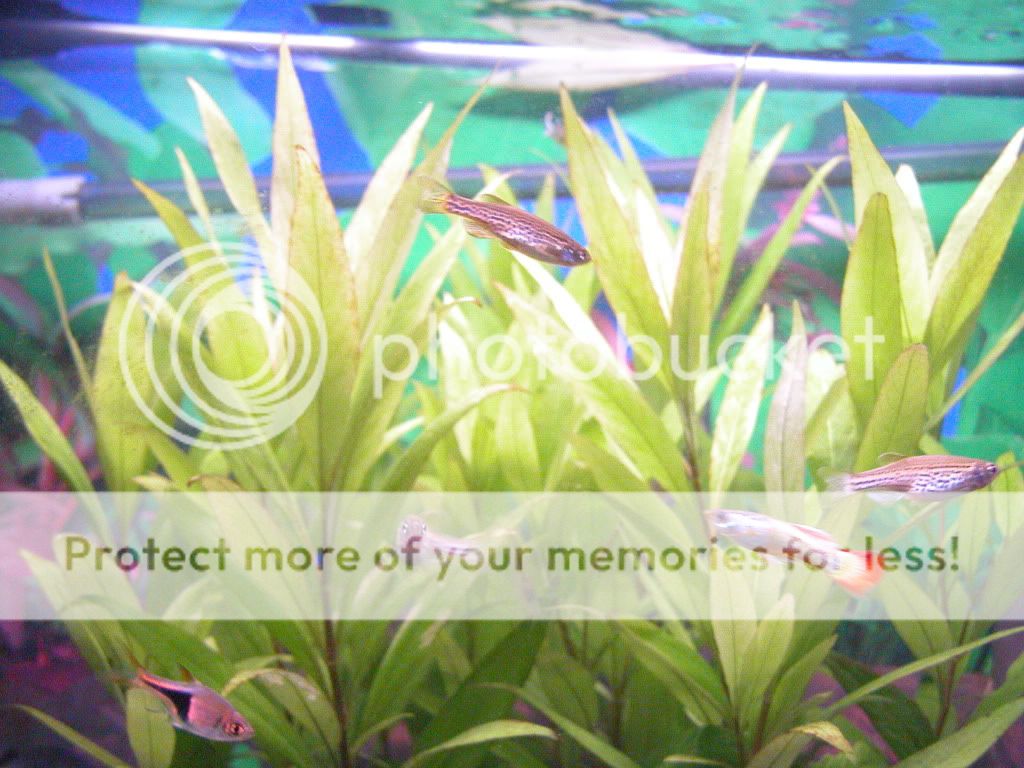 DSCN2934.jpg