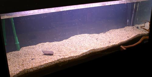 AddedTheGravel.jpg