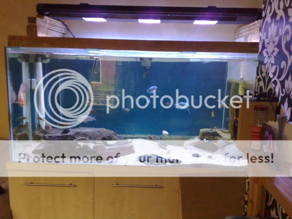 07062009349.jpg