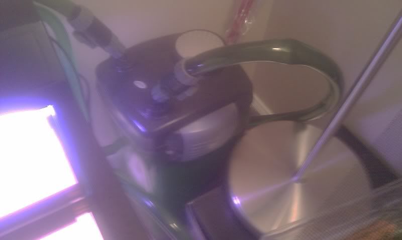 IMAG0138.jpg
