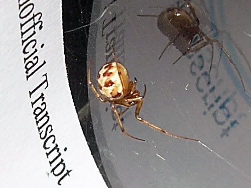 DSCN8388.jpg