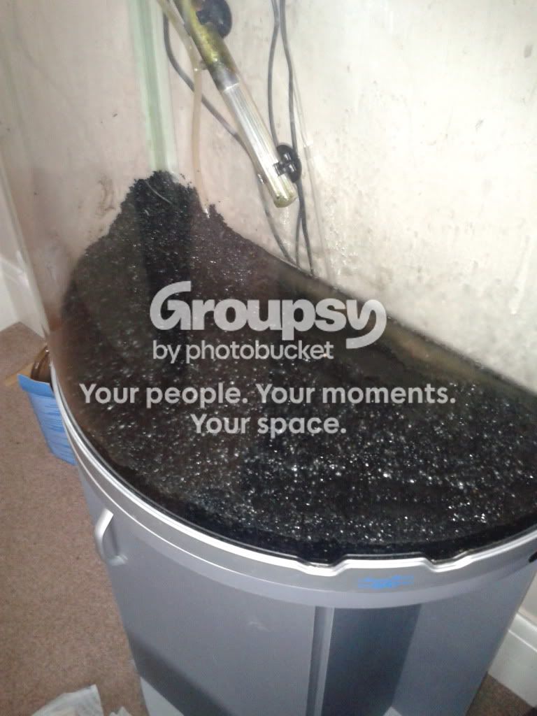 2011-12-24122551.jpg