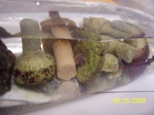100_6914.jpg