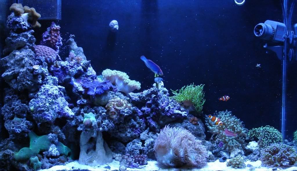 02-07-07Fulltank.jpg