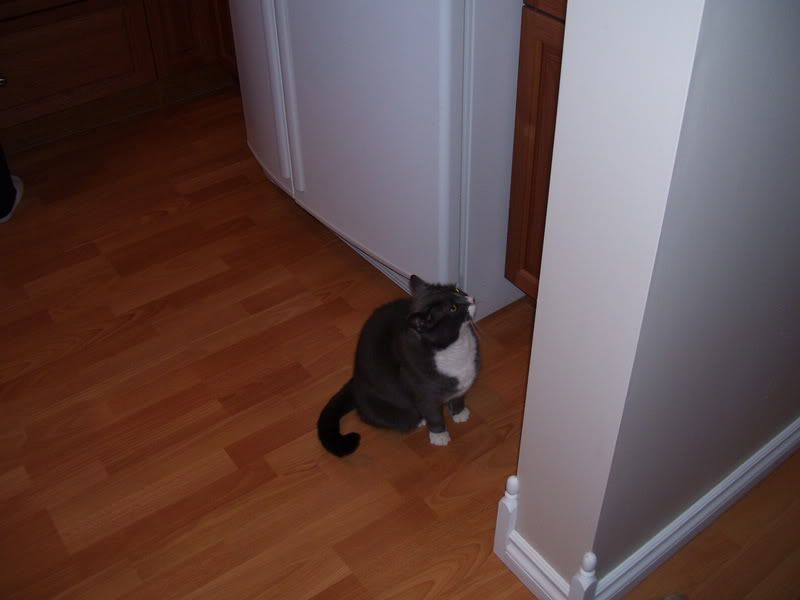 000_0063.jpg