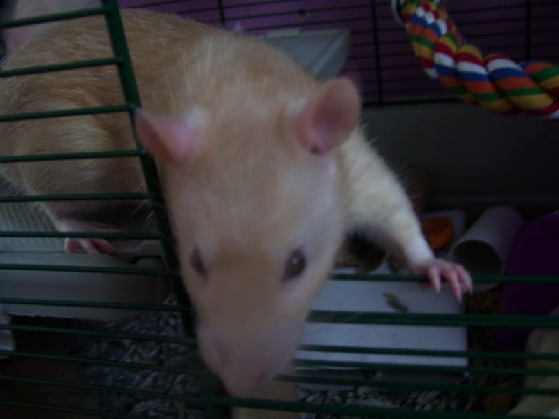 000_0033.jpg