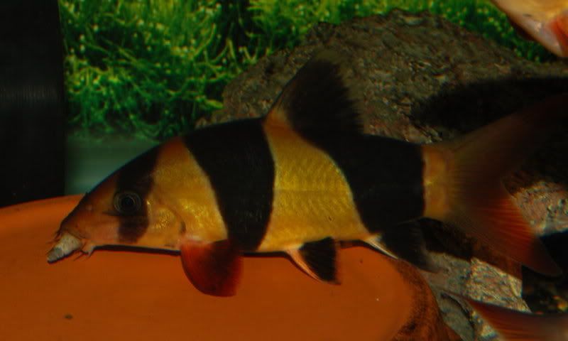 DSC_1705.jpg