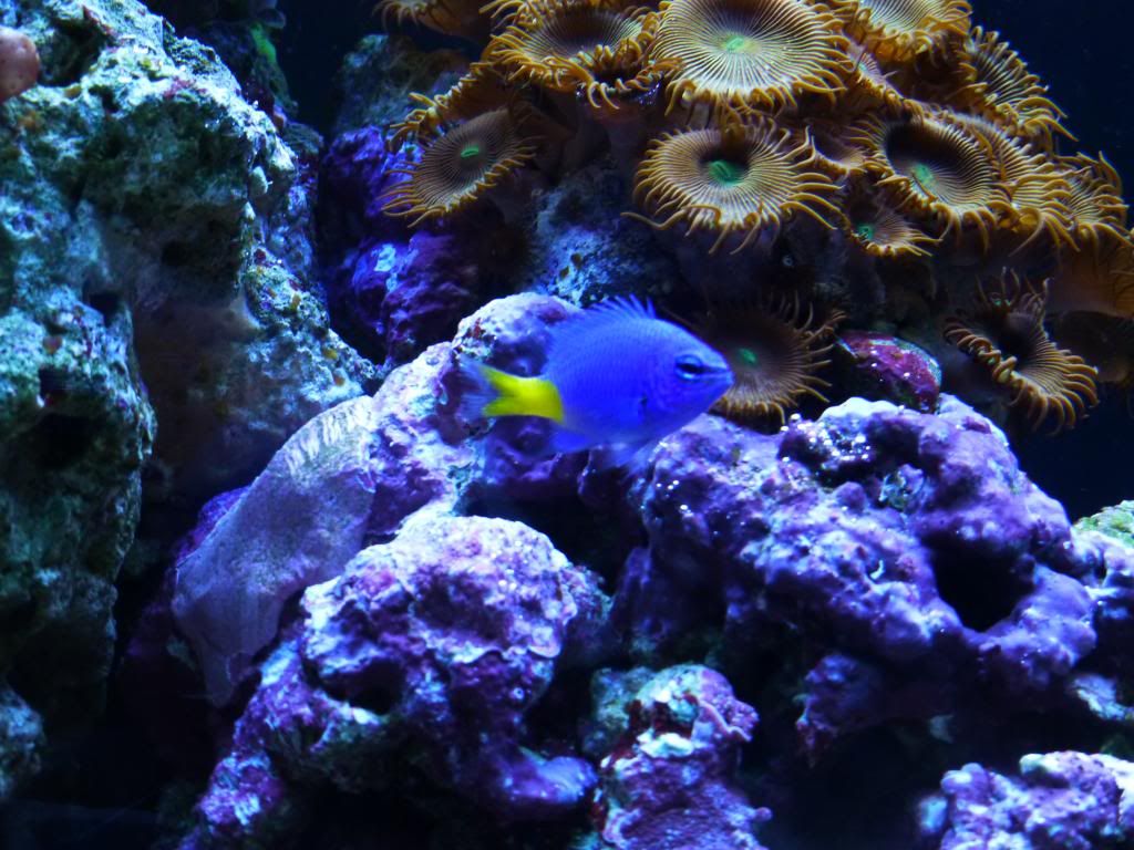 P1000483_zps1372e1e5.jpg