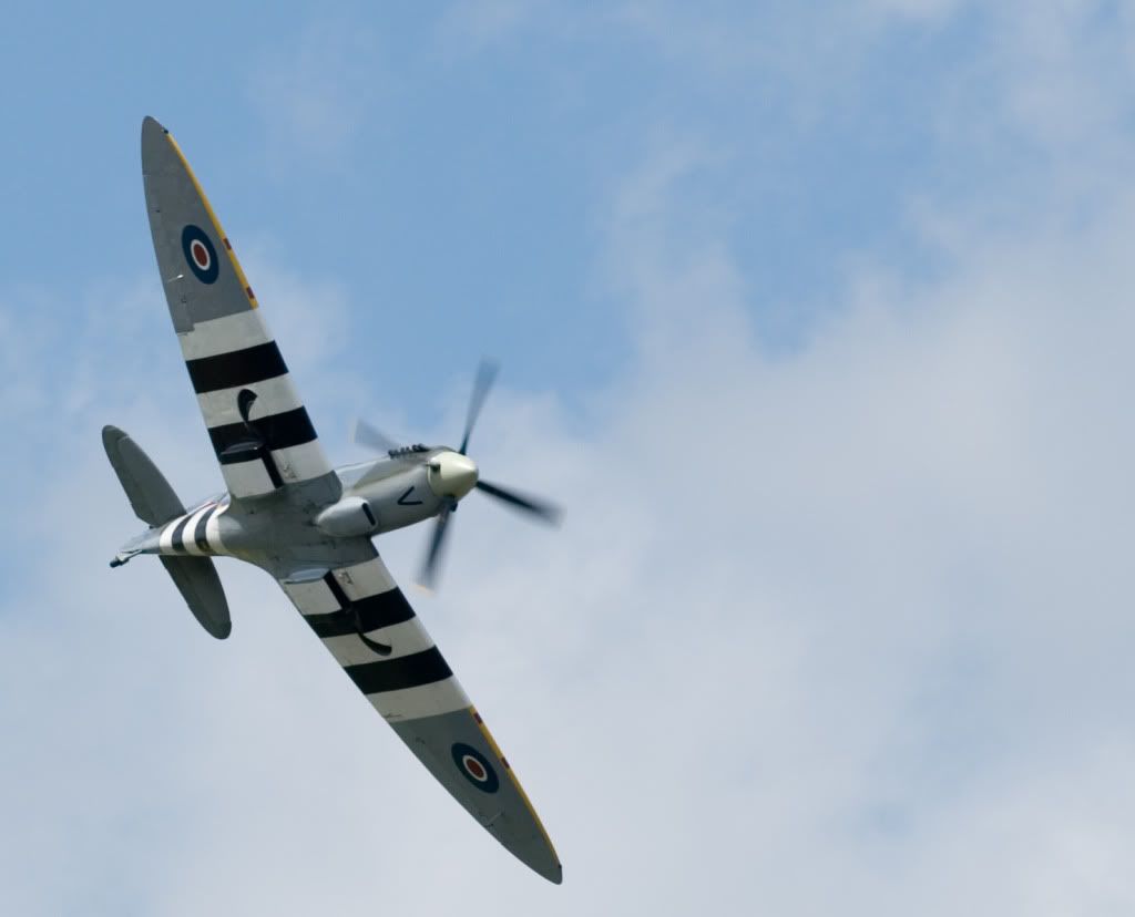 DSC_8409.jpg