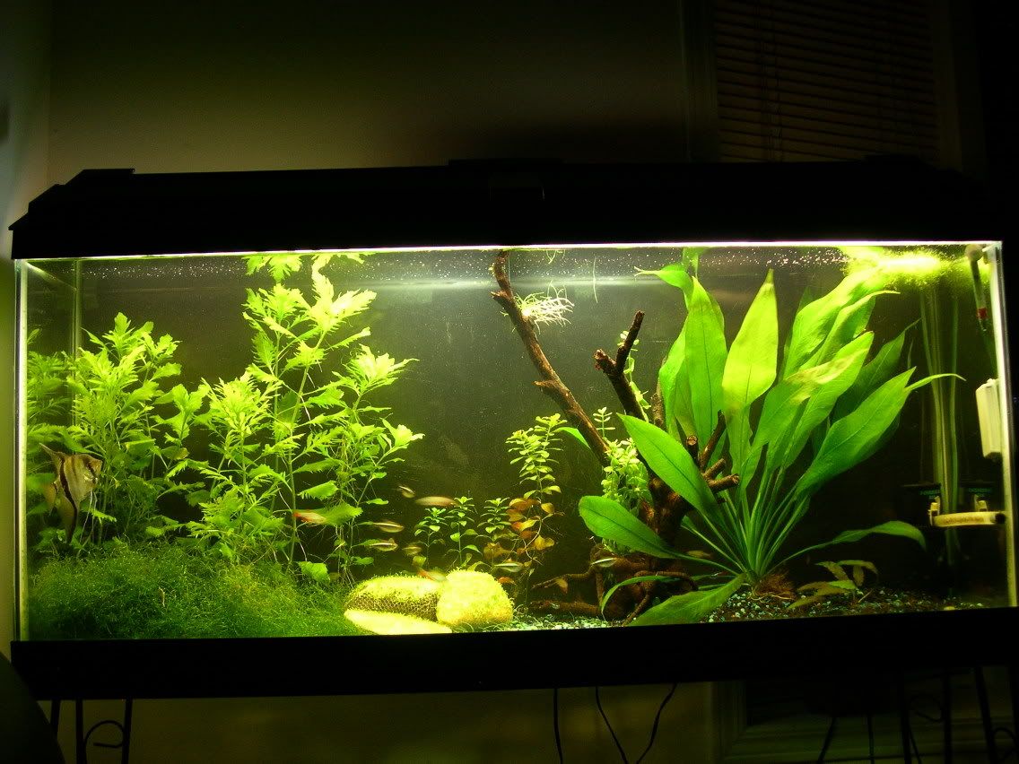 DSCN4409.jpg