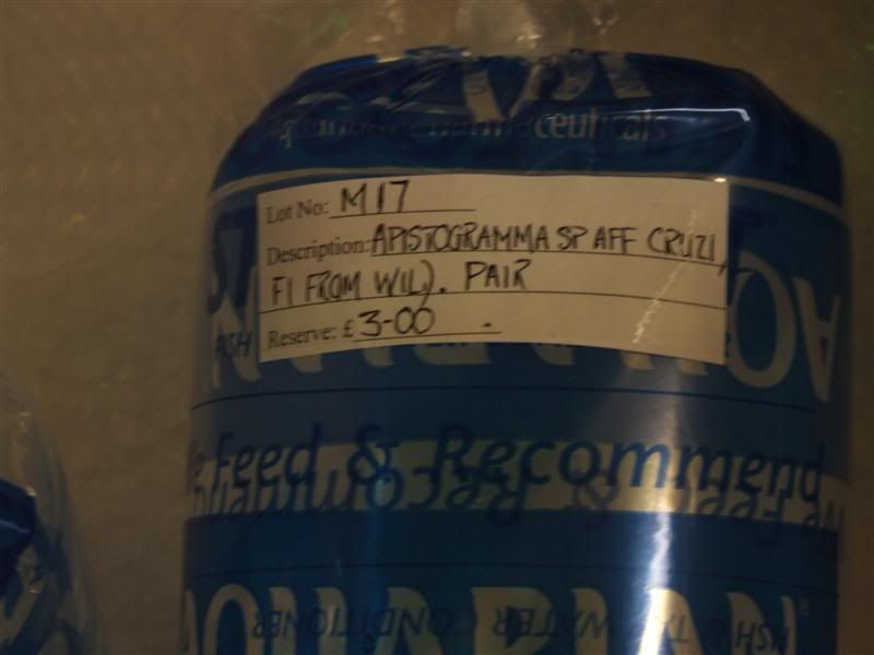 DSCF2518Medium.jpg