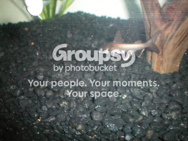 PictureorVideo010.jpg