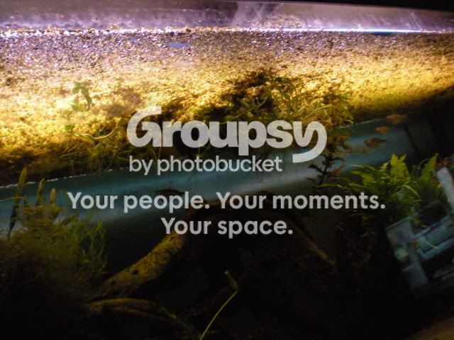 DSCN1895.jpg