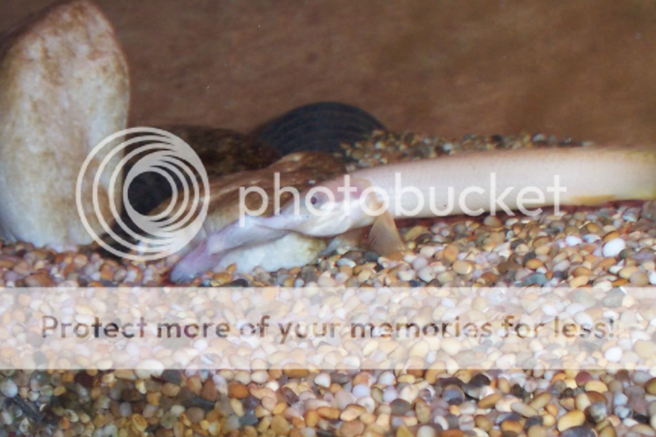 July22st05014.jpg