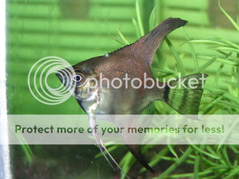 PICT0024.jpg