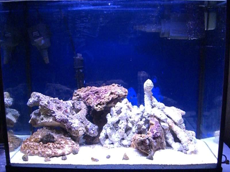 TankUpdate12-21-06006.jpg