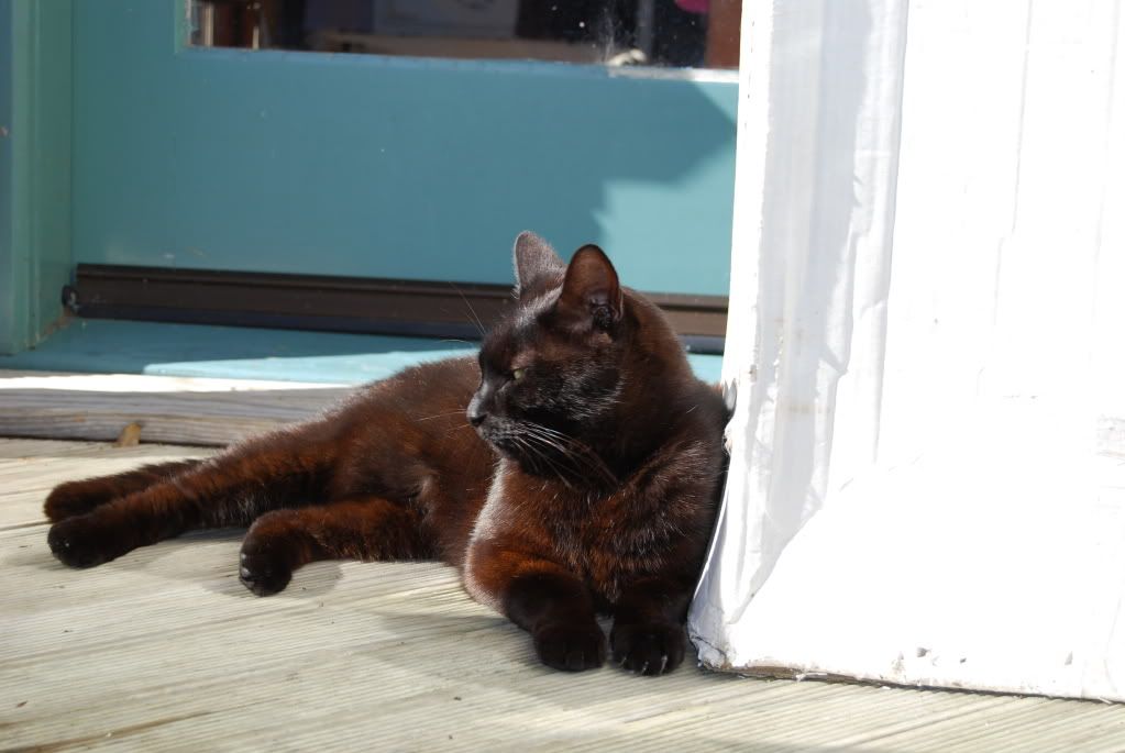 DSC_0158.jpg